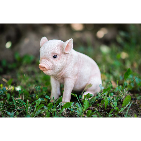 HiLine Gift Ltd. Sitting Baby Pig Statue & Reviews Wayfair